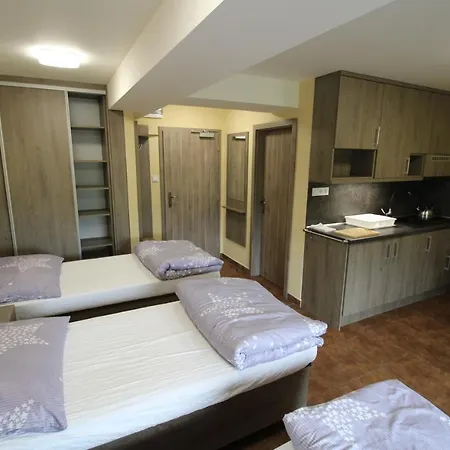Borovec