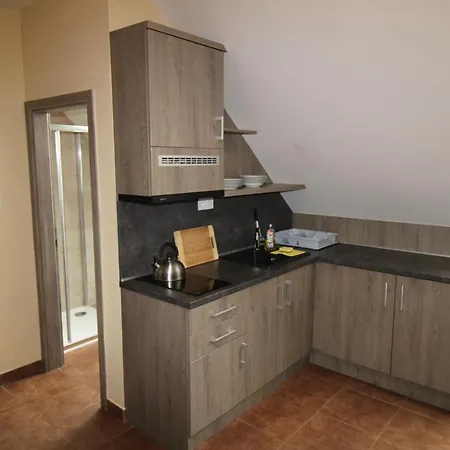 Borovec Guest house