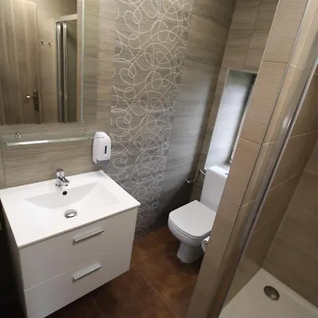Guest house Borovec Sedlnice